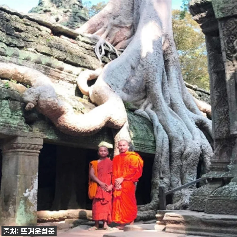 이 가격 실화?! 캄보디아 앙코르와트 프라이빗 지프 투어, 이 기회 놓치면 평생 후회할 걸요? 5 이 가격 실화?! 캄보디아 앙코르와트 관련 이미지 1