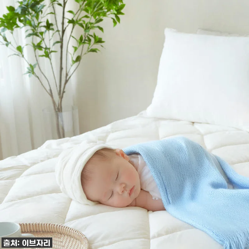 이젠 잠도 프리미엄! 이브자리 스탠다드 양모 단잠패드 찐후기, 인생 꿀잠 보장템 등극! 8 이젠 잠도 프리미엄! 이브자리 스탠다 관련 이미지 1