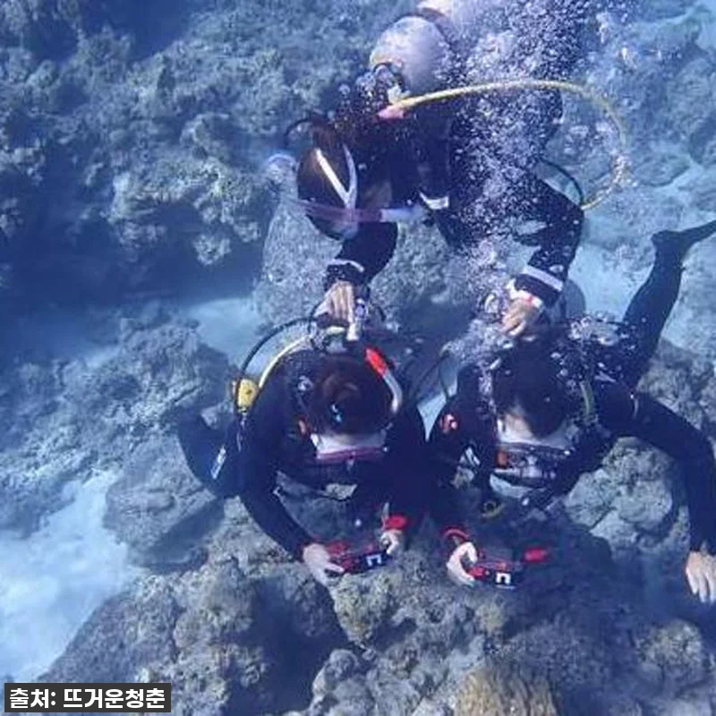 오키나와 케라마제도 찐후기! 자격증 없이 인생샷 건진 품절임박 다이빙 여행, 이건 무조건 사야 해! 5 오키나와 케라마제도 찐후기! 자격증 관련 이미지 1