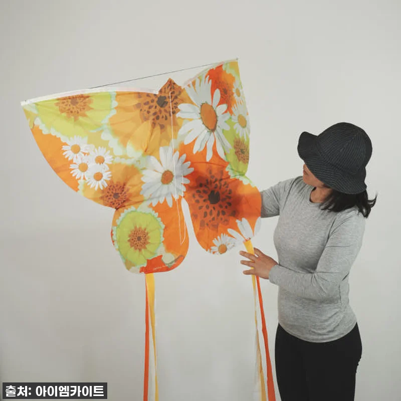 찐후기! 올가을 아이와 함께 날린 ' 관련 이미지 1