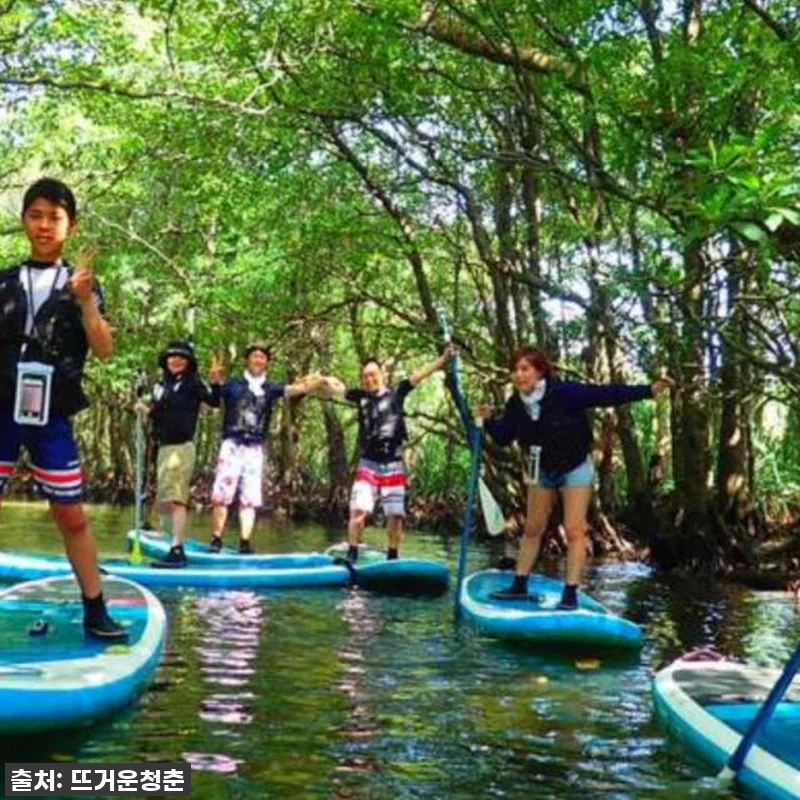 이 가격 실화?! 🇯🇵 일본 이시가키 관련 이미지 1