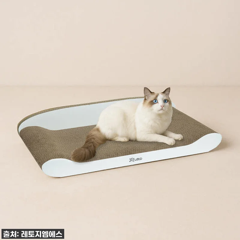 냥집사 심쿵주의! 레토 고양이 스크래 관련 이미지 1