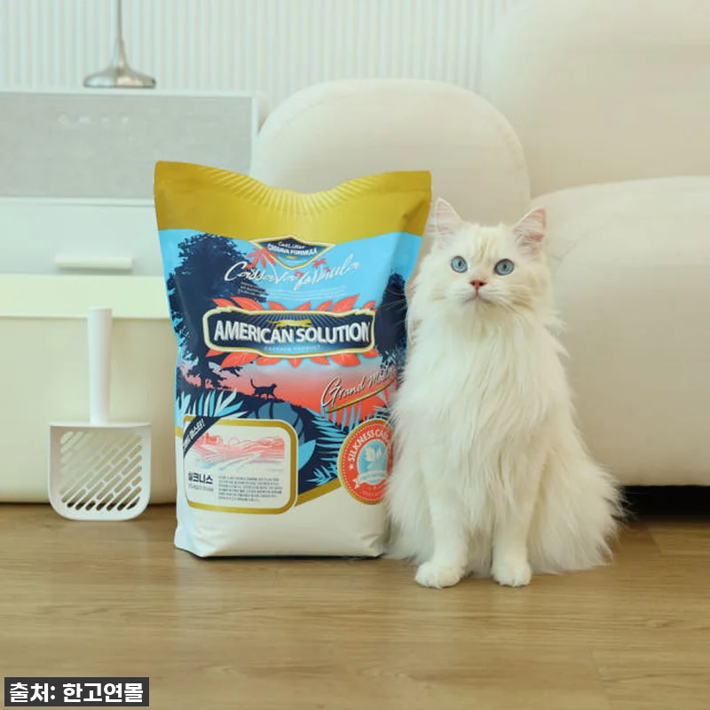 ✨인생템 등극!✨ 아메리칸솔루션 카사 관련 이미지 1