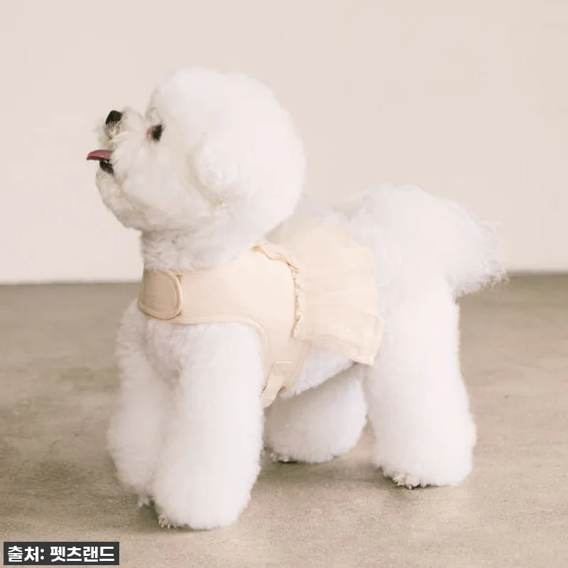 이슈템! 펫츠랜드 슈슈 메쉬 하네스옷 관련 이미지 2