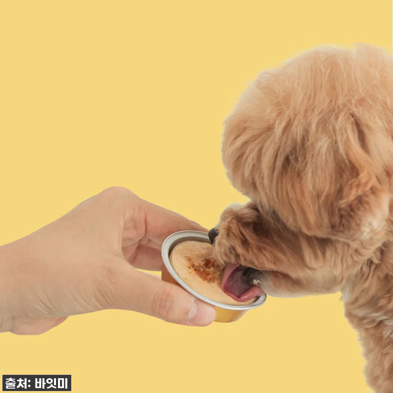 급하게 품절각! 바잇미 포켓밀 오리, 우리 댕댕이 면역력 지키는 하루 한 포 영양제 솔직 후기! 6 급하게 품절각! 바잇미 포켓밀 오리, 관련 이미지 2