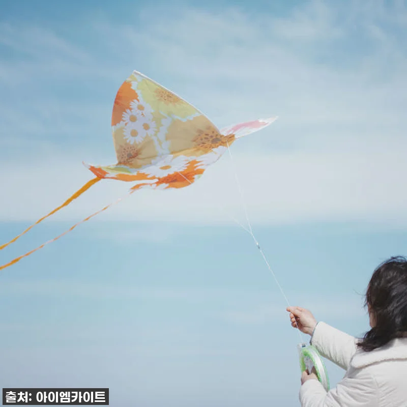 찐후기! 올가을 아이와 함께 날린 ' 관련 이미지 2