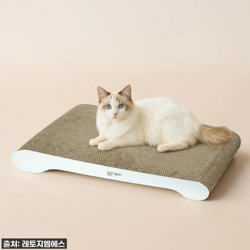 냥집사 심쿵주의! 레토 고양이 스크래 관련 이미지 2