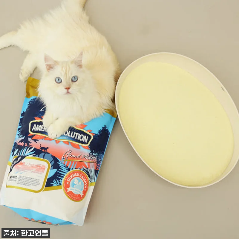 ✨인생템 등극!✨ 아메리칸솔루션 카사 관련 이미지 2