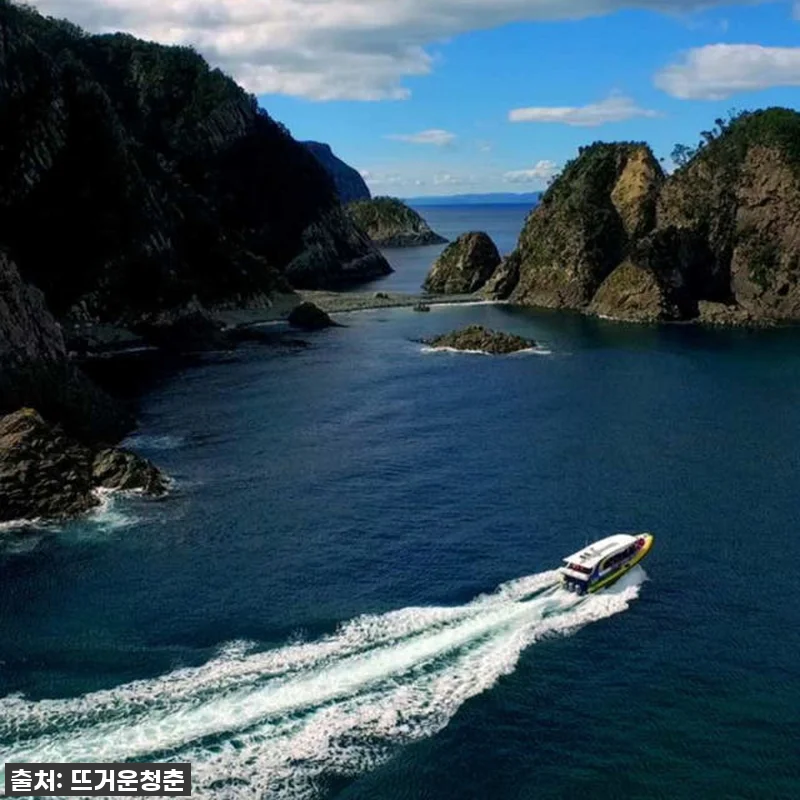 이 가격 실화? 호주 태즈메이니아 브루니 아일랜드 야생 크루즈, 제가 직접 경험해보니 이건 무조건 가야 해요! 찐후기 대방출! 8 이 가격 실화? 호주 태즈메이니아 브 관련 이미지 3