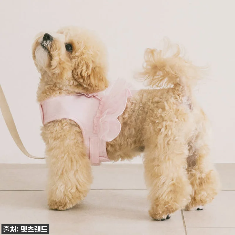 이슈템! 펫츠랜드 슈슈 메쉬 하네스옷 관련 이미지 3