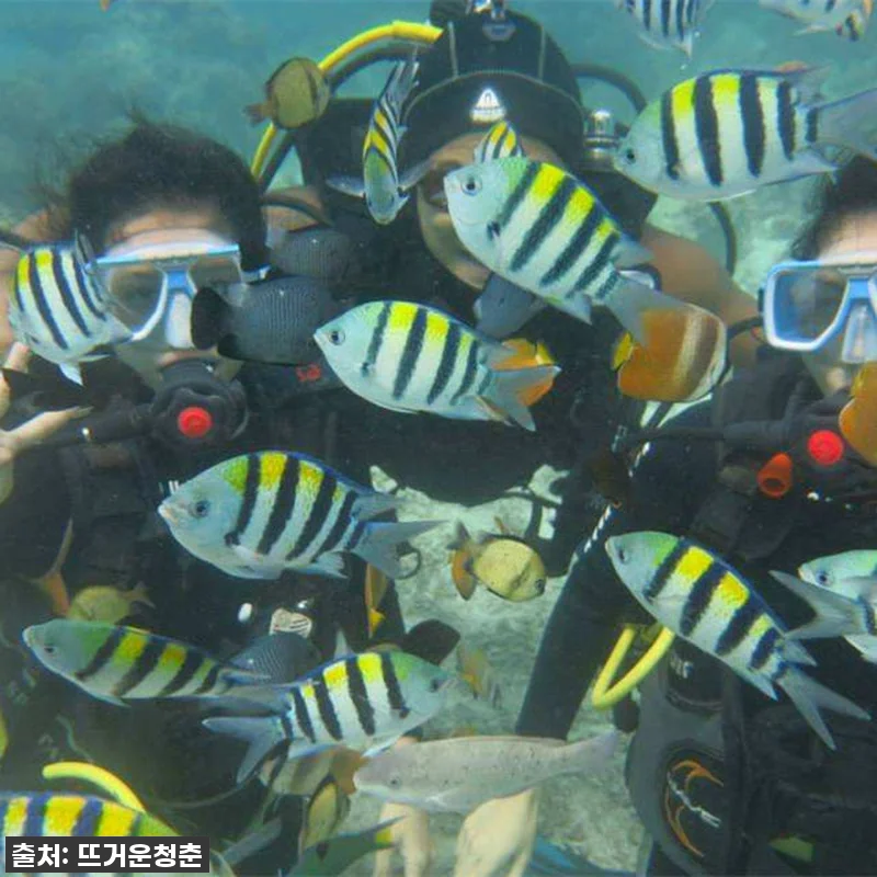 💖인생 버킷리스트 달성! 보라카이 스 관련 이미지 3