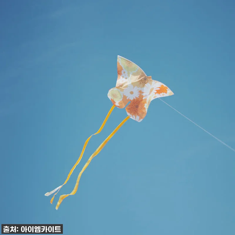 찐후기! 올가을 아이와 함께 날린 ' 관련 이미지 3