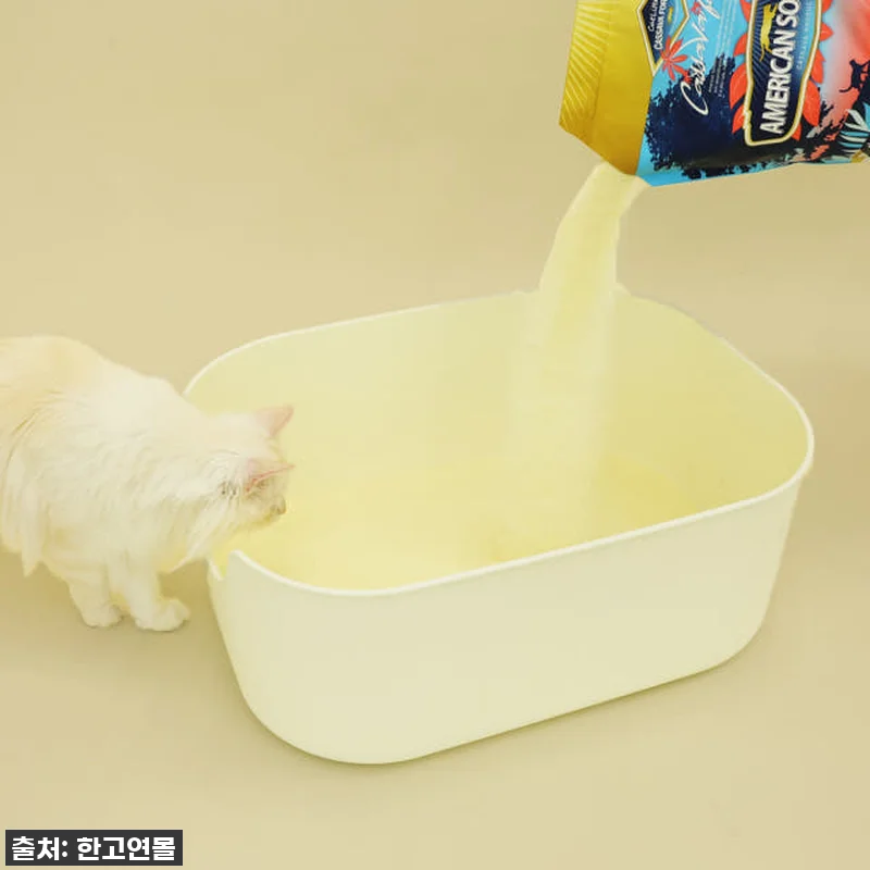 ✨인생템 등극!✨ 아메리칸솔루션 카사 관련 이미지 3