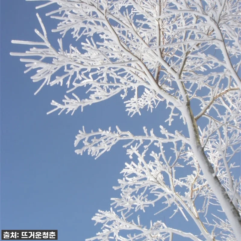 인생 역대급! 94% 할인 실화? 일본 롯코산 스노우파크 티켓 찐내돈내산 후기! 12 인생 역대급! 94% 할인 실화? 일 관련 이미지 4