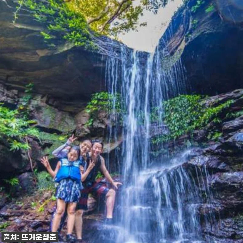 이 가격 실화?! 🇯🇵 일본 이시가키 관련 이미지 4