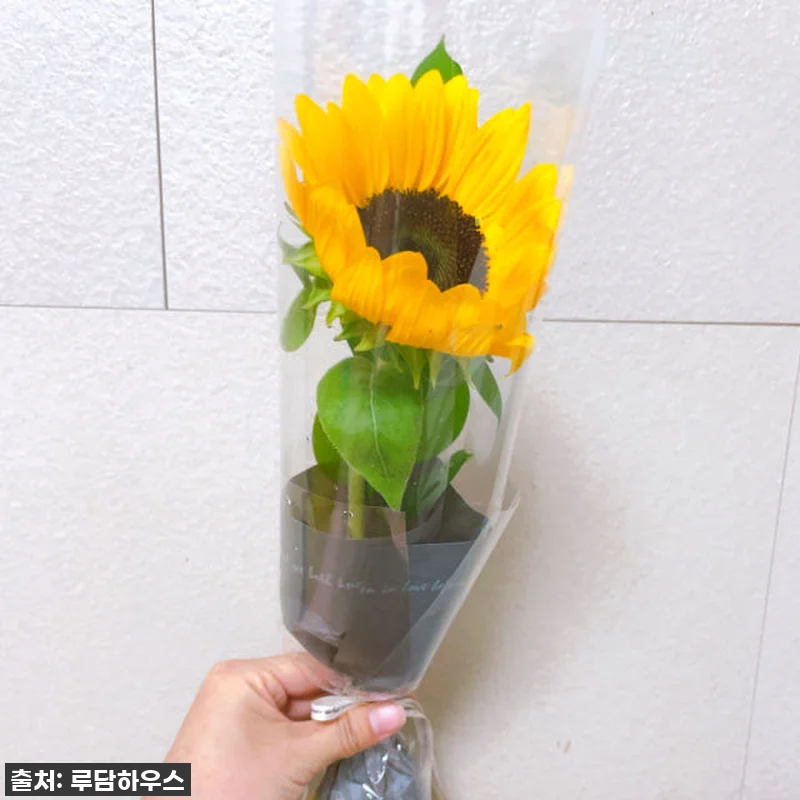 이슈템 떴다! 60% 할인 중인 한송 관련 이미지 5