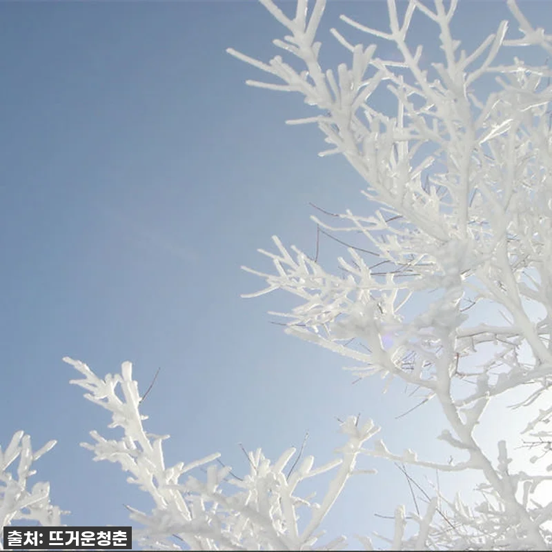 인생 역대급! 94% 할인 실화? 일본 롯코산 스노우파크 티켓 찐내돈내산 후기! 13 인생 역대급! 94% 할인 실화? 일 관련 이미지 5