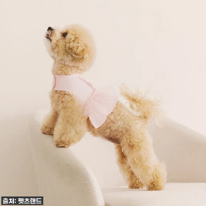 이슈템! 펫츠랜드 슈슈 메쉬 하네스옷 관련 이미지 5