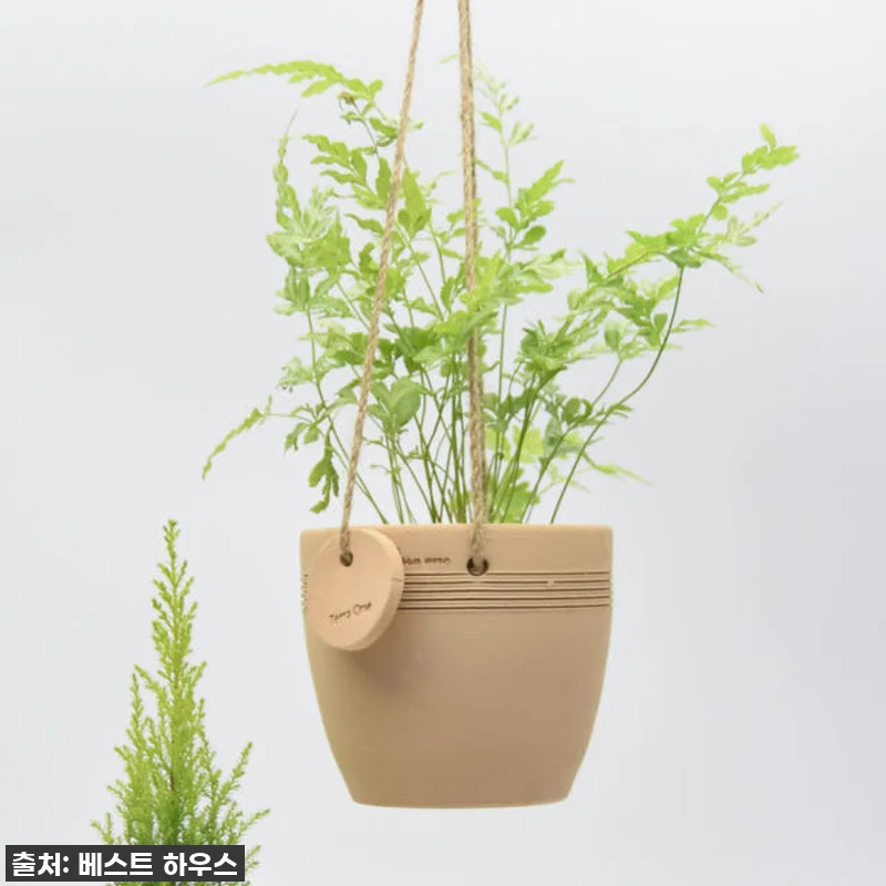 이슈템 떴다! 테라원 내열토 수제 토 관련 이미지 5