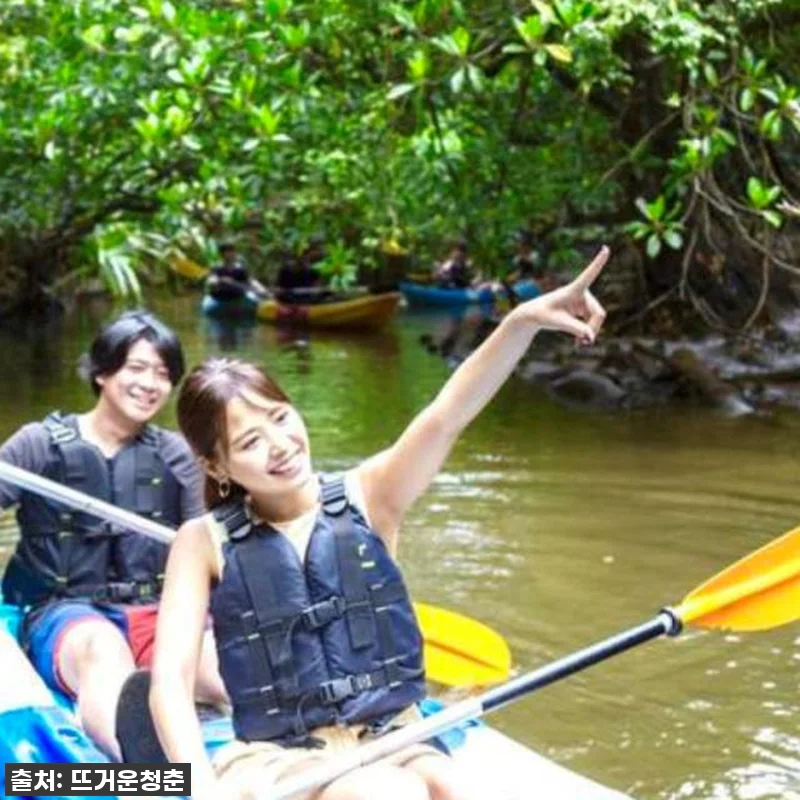 이 가격 실화?! 🇯🇵 일본 이시가키 관련 이미지 5