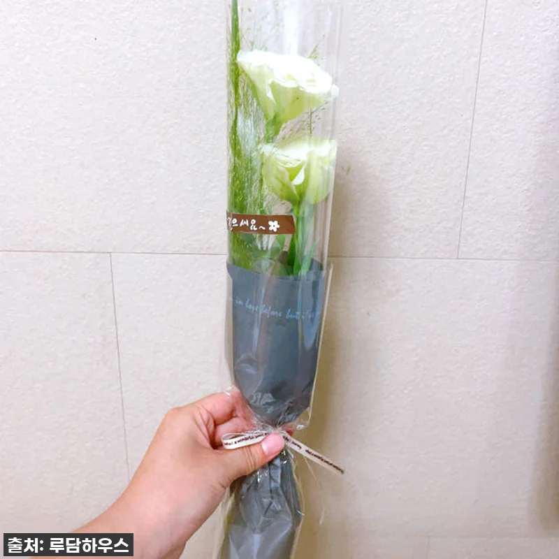 이슈템 떴다! 60% 할인 중인 한송 관련 이미지 6