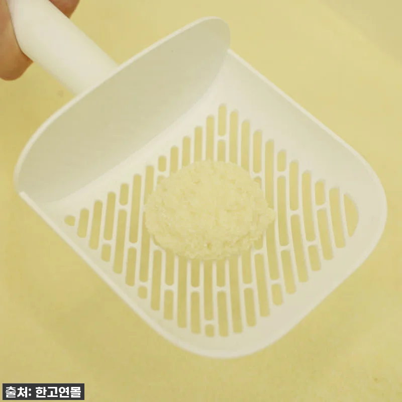 ✨인생템 등극!✨ 아메리칸솔루션 카사 관련 이미지 5