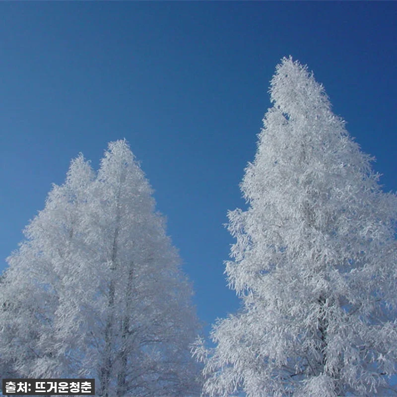 인생 역대급! 94% 할인 실화? 일본 롯코산 스노우파크 티켓 찐내돈내산 후기! 14 인생 역대급! 94% 할인 실화? 일 관련 이미지 6