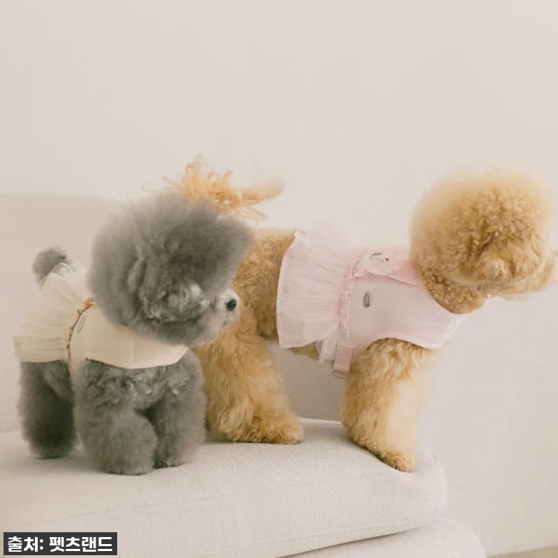 이슈템! 펫츠랜드 슈슈 메쉬 하네스옷 관련 이미지 6