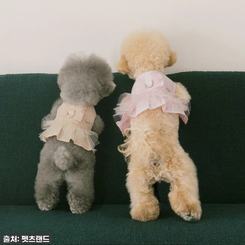 이슈템! 펫츠랜드 슈슈 메쉬 하네스옷 관련 이미지 7