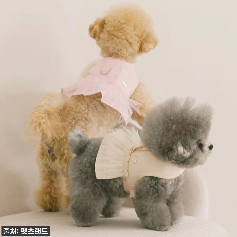 이슈템! 펫츠랜드 슈슈 메쉬 하네스옷 관련 이미지 8