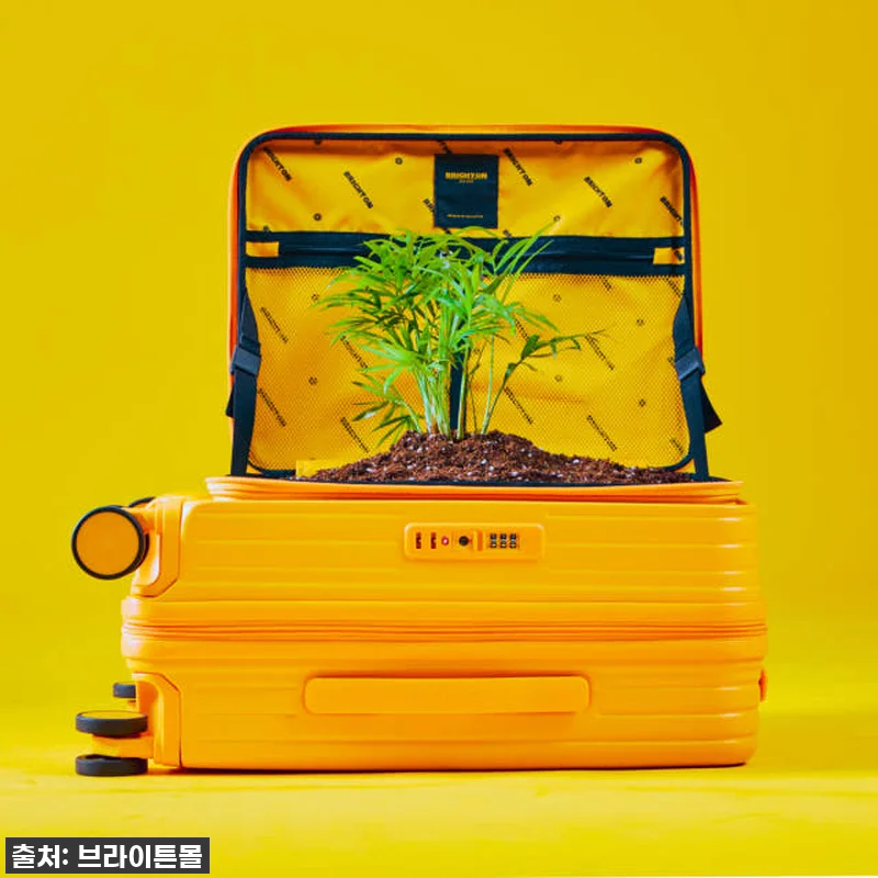 역대급 할인! 엘론 52cm 기내용 캐리어, 이거 하나면 여행 준비 끝! (진심 가득 찐후기) 19 역대급 할인! 엘론 52cm 기내용 관련 이미지 8