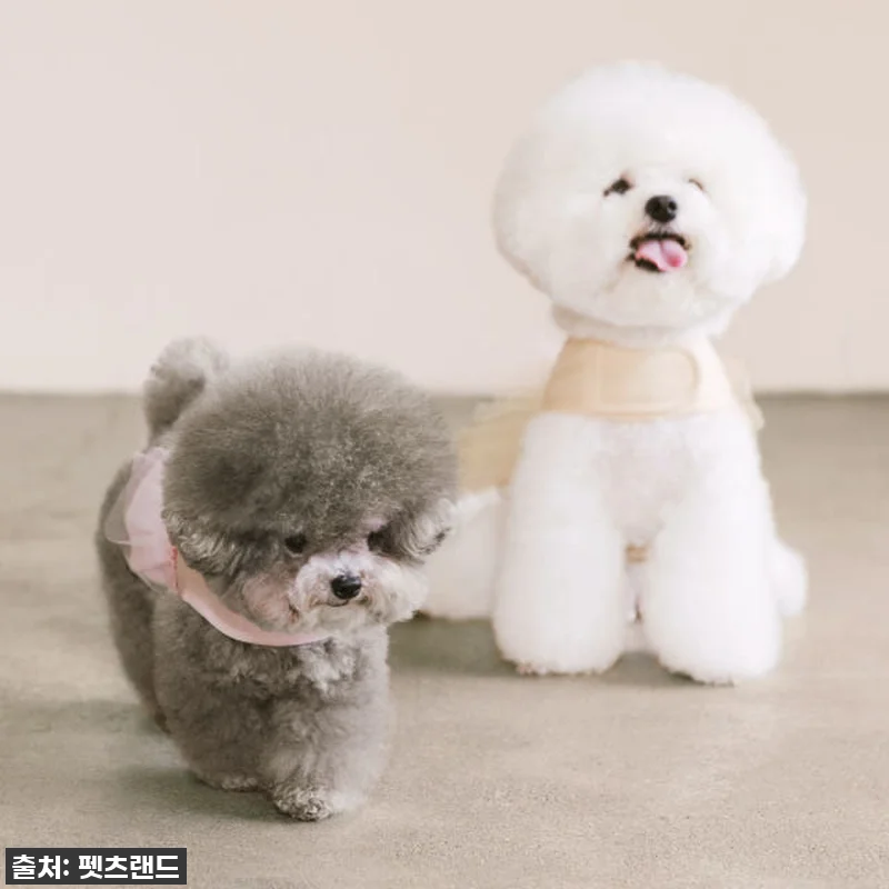 이슈템! 펫츠랜드 슈슈 메쉬 하네스옷 관련 이미지 9