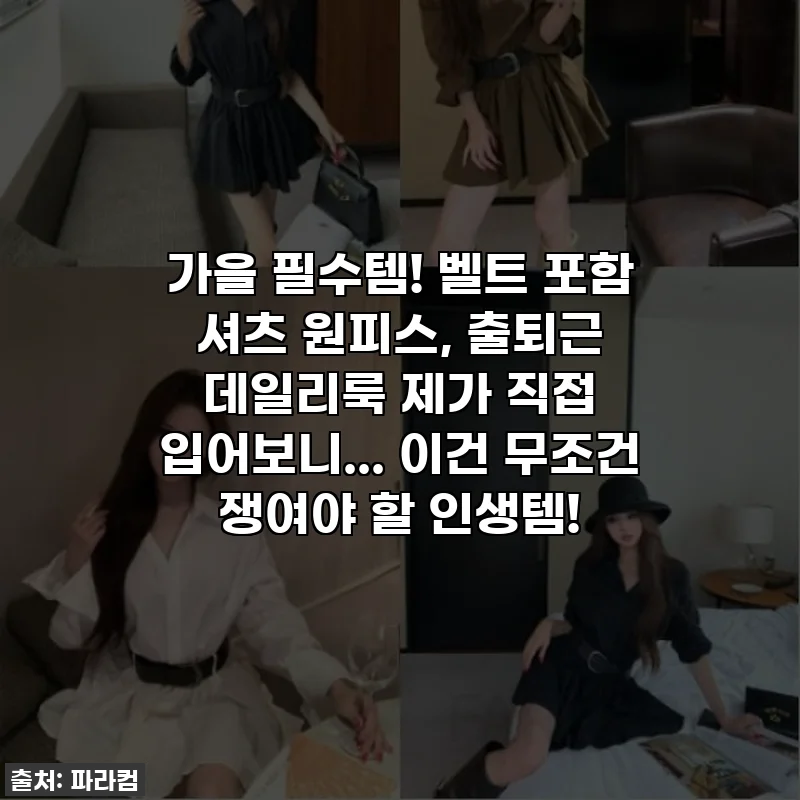 가을 필수템! 벨트 포함 셔츠 원피스, 출퇴근 데일리룩 제가 직접 입어보니... 이건 무조건 쟁여야 할 인생템!