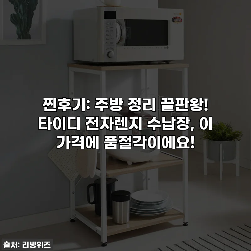 찐후기: 주방 정리 끝판왕! 타이디 전자렌지 수납장, 이 가격에 품절각이에요!