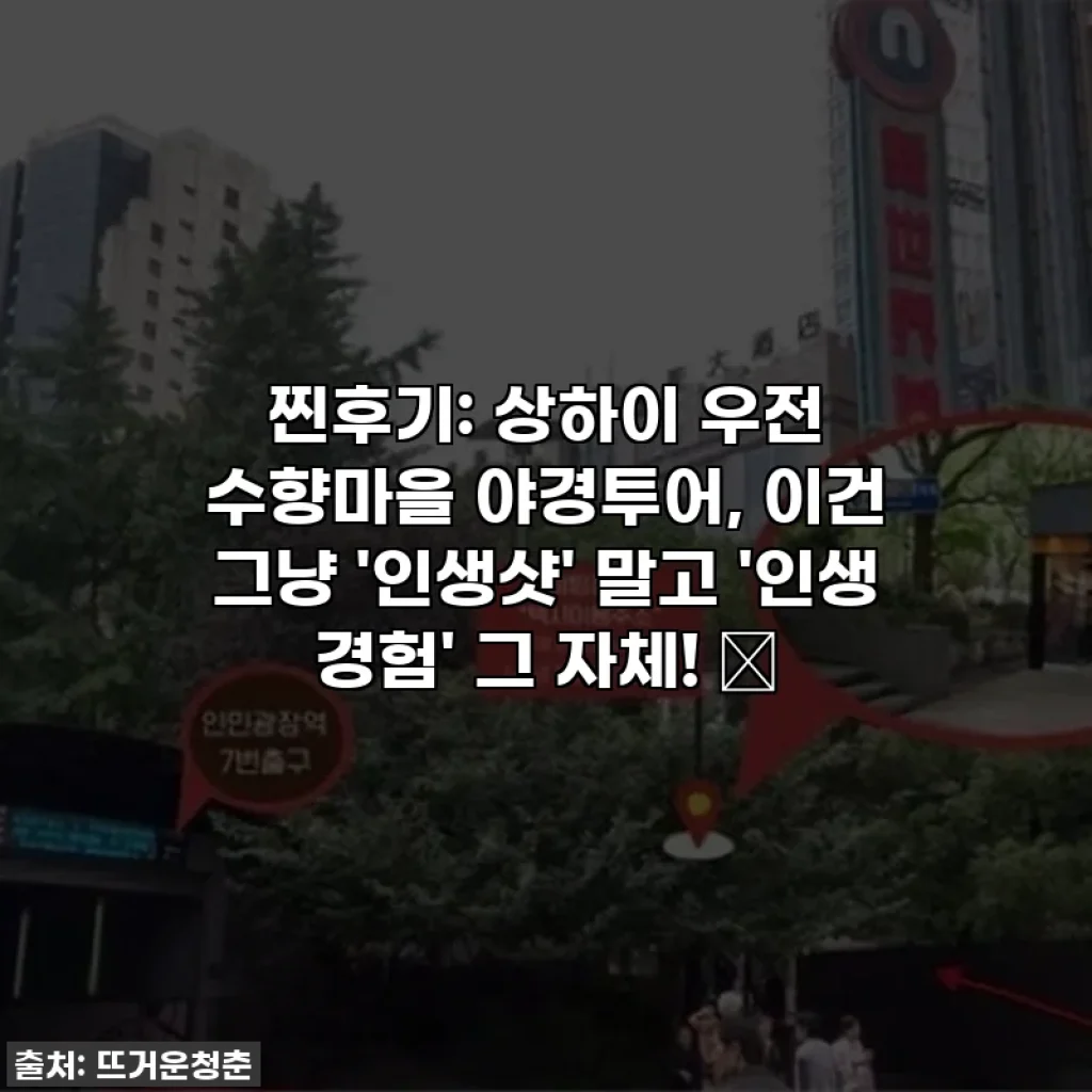 찐후기: 상하이 우전 수향마을 야경투어, 이건 그냥 '인생샷' 말고 '인생 경험' 그 자체! ✨