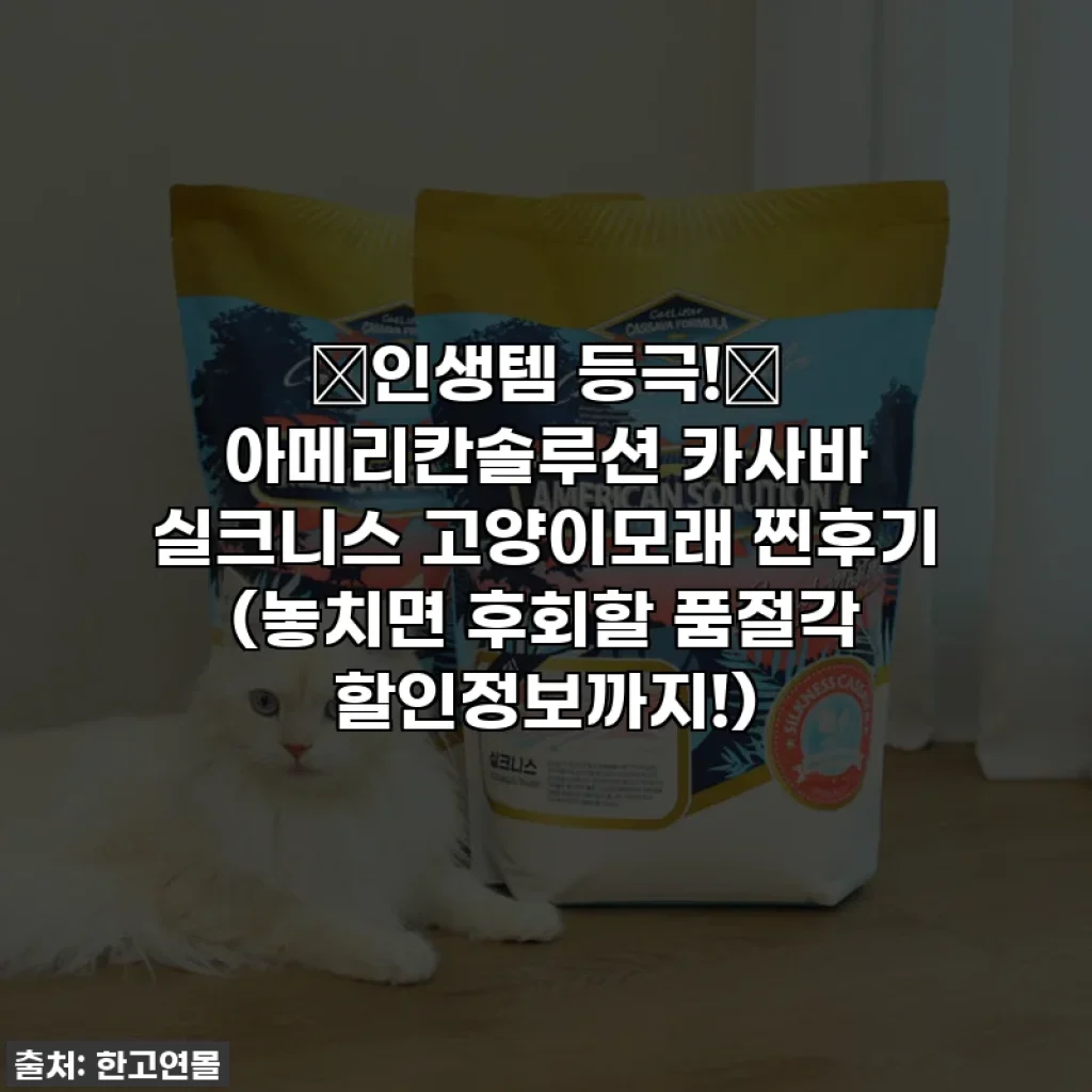 ✨인생템 등극!✨ 아메리칸솔루션 카사바 실크니스 고양이모래 찐후기 (놓치면 후회할 품절각 할인정보까지!)