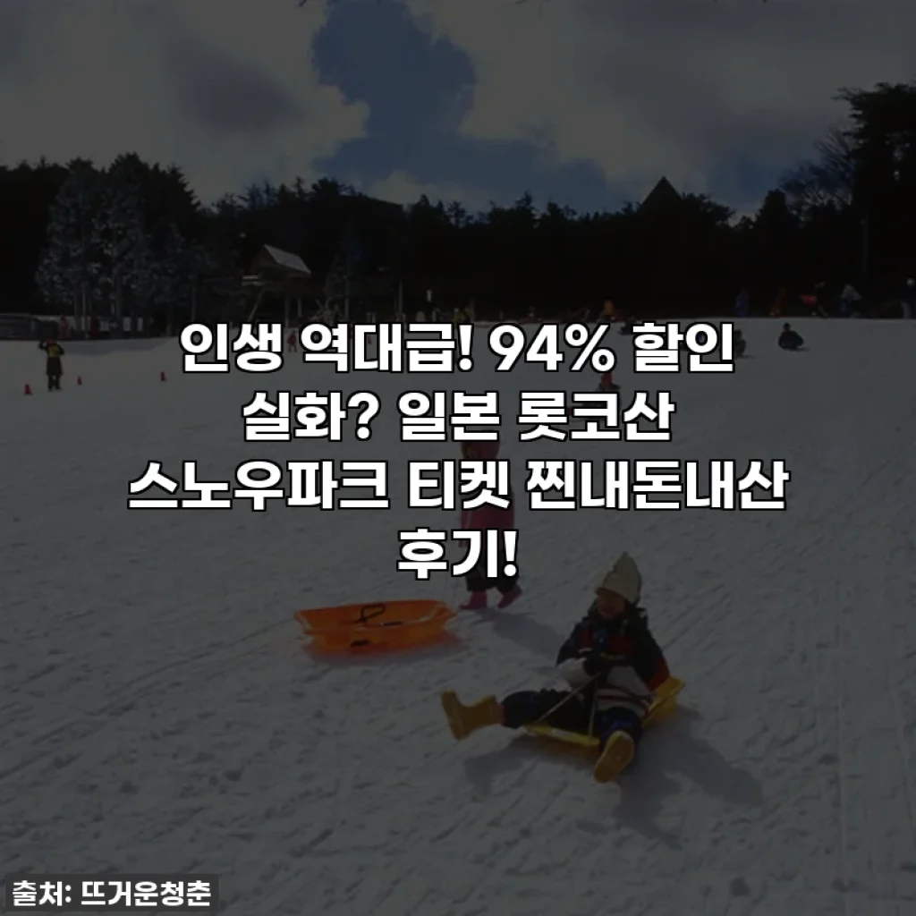 인생 역대급! 94% 할인 실화? 일본 롯코산 스노우파크 티켓 찐내돈내산 후기!