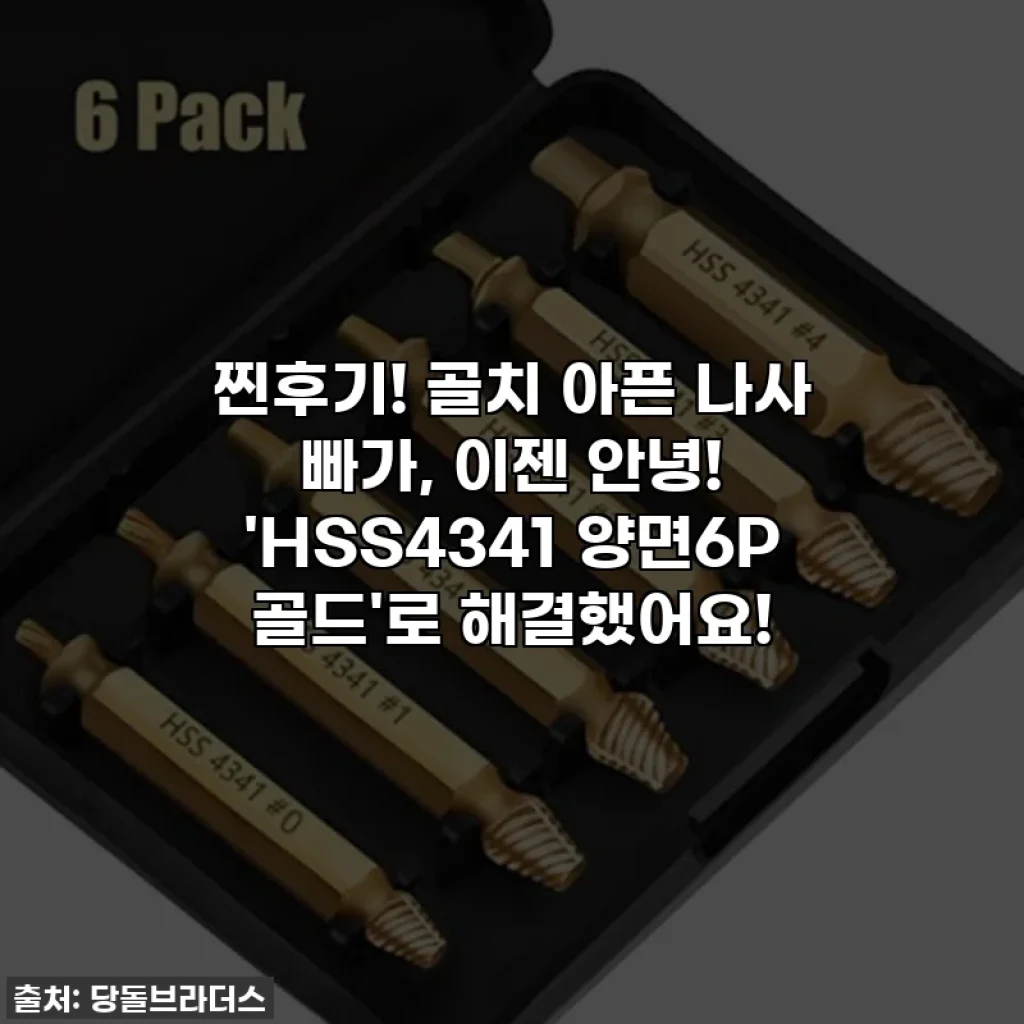찐후기! 골치 아픈 나사 빠가, 이젠 안녕! 'HSS4341 양면6P 골드'로 해결했어요!