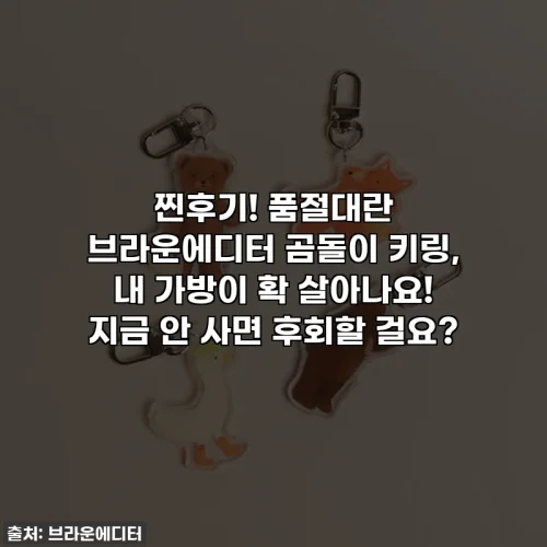 Home 64 찐후기! 품절대란 브라운에디터 곰돌이 키링, 내 가방이 확 살아나요! 지금 안 사면 후회할 걸요?