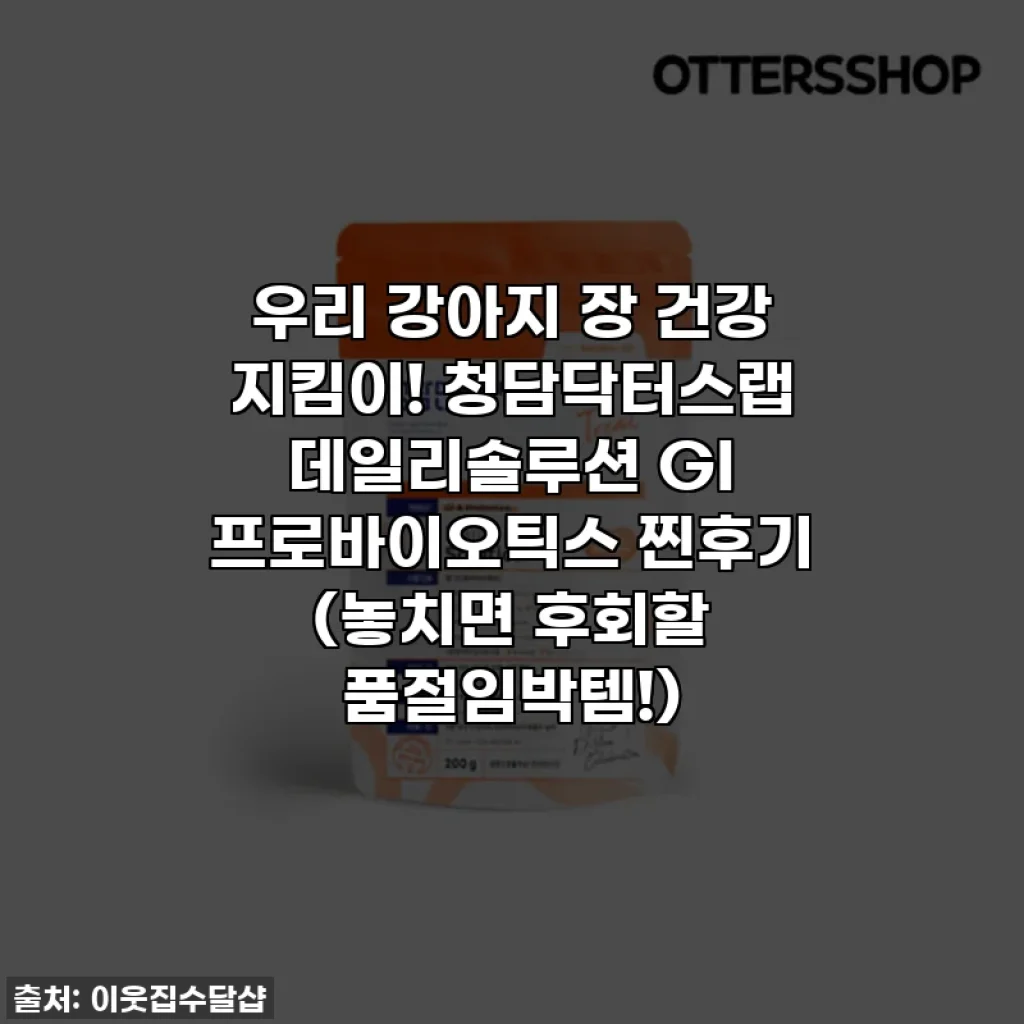 우리 강아지 장 건강 지킴이! 청담닥터스랩 데일리솔루션 GI 프로바이오틱스 찐후기 (놓치면 후회할 품절임박템!)