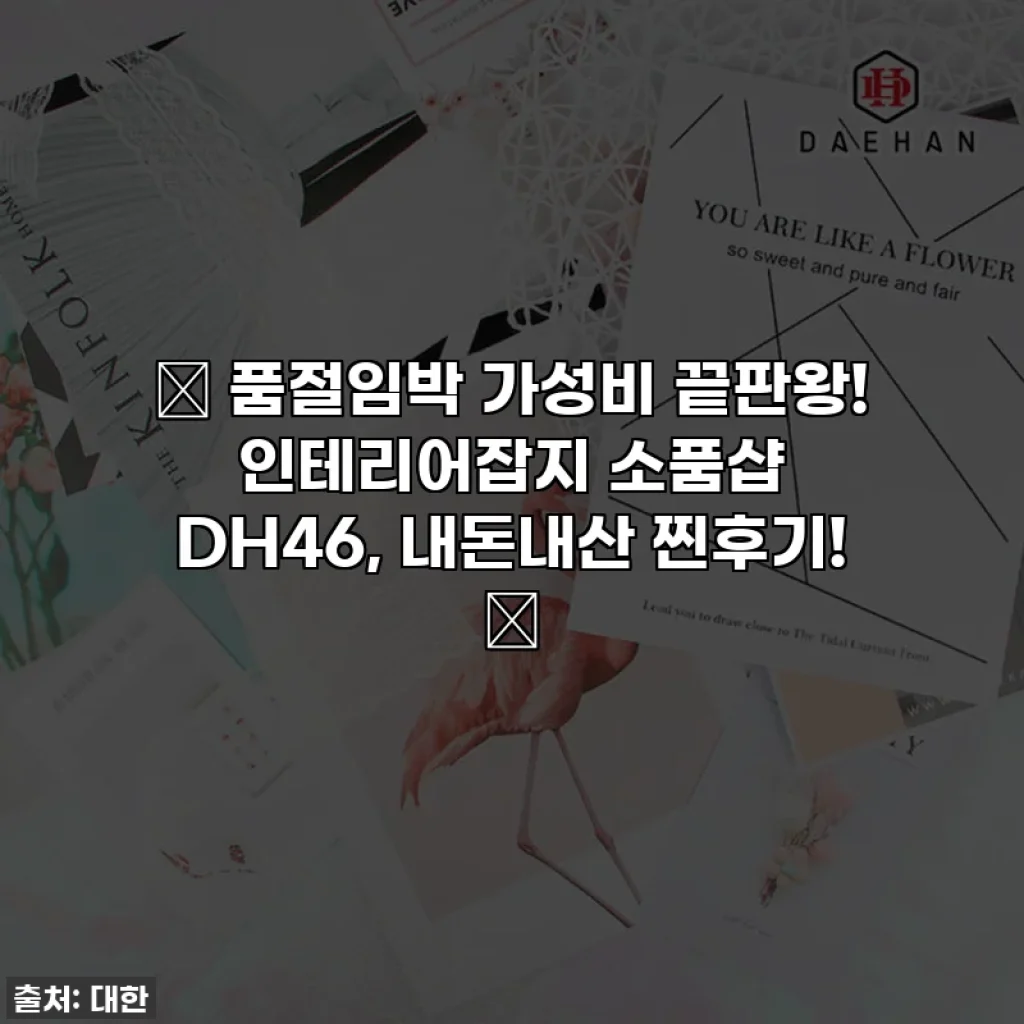 🚨 품절임박 가성비 끝판왕! 인테리어잡지 소품샵 DH46, 내돈내산 찐후기! 🚨