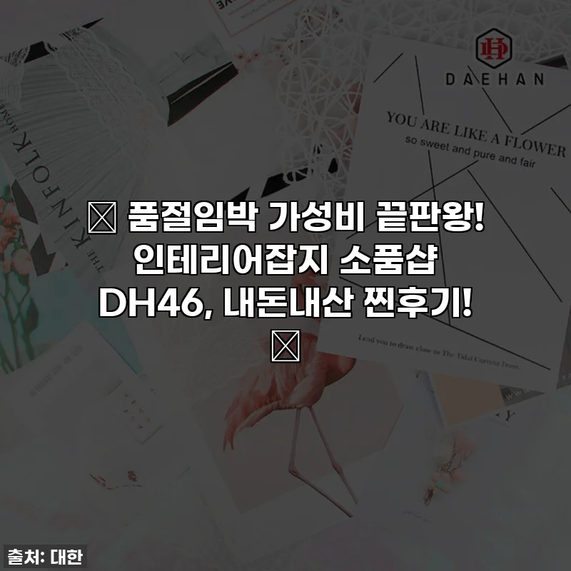 🚨 품절임박 가성비 끝판왕! 인테리어잡지 소품샵 DH46, 내돈내산 찐후기! 🚨