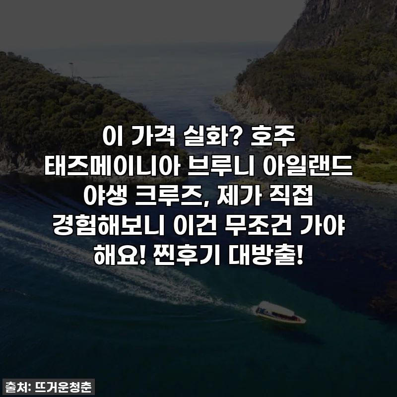 이 가격 실화? 호주 태즈메이니아 브루니 아일랜드 야생 크루즈, 제가 직접 경험해보니 이건 무조건 가야 해요! 찐후기 대방출!
