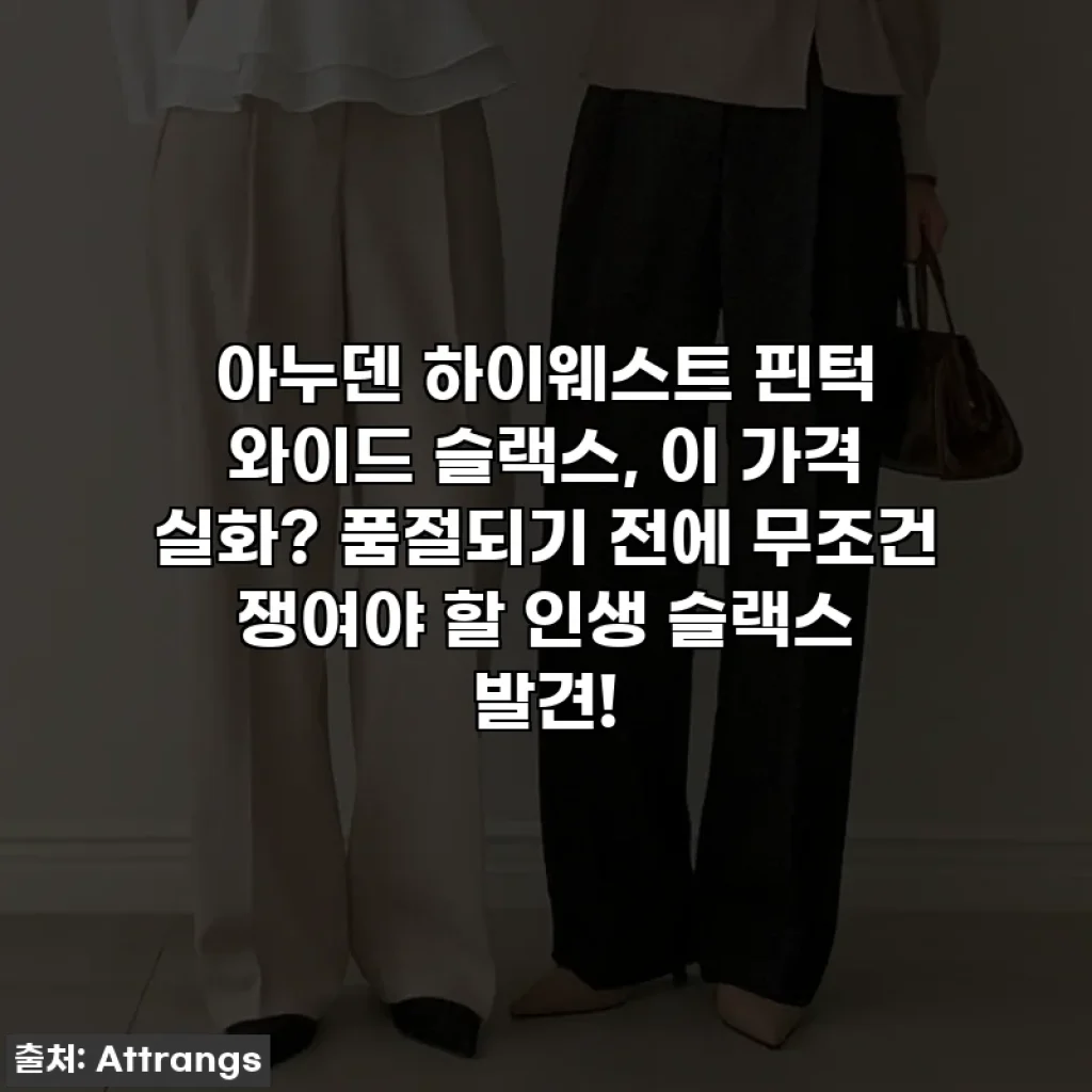 아누덴 하이웨스트 핀턱 와이드 슬랙스, 이 가격 실화? 품절되기 전에 무조건 쟁여야 할 인생 슬랙스 발견!