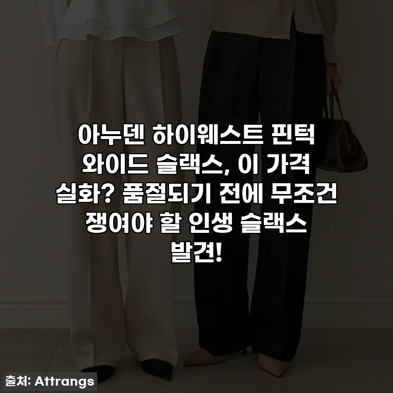 아누덴 하이웨스트 핀턱 와이드 슬랙스, 이 가격 실화? 품절되기 전에 무조건 쟁여야 할 인생 슬랙스 발견!