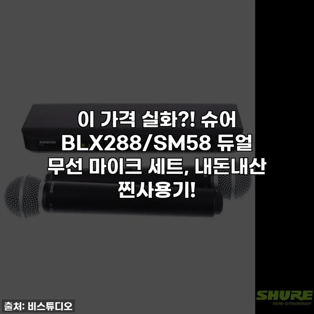 이 가격 실화?! 슈어 BLX288/SM58 듀얼 무선 마이크 세트, 내돈내산 찐사용기!