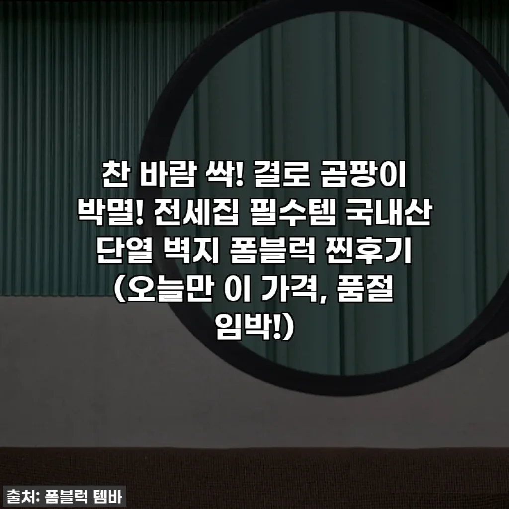 찬 바람 싹! 결로 곰팡이 박멸! 전세집 필수템 국내산 단열 벽지 폼블럭 찐후기 (오늘만 이 가격, 품절 임박!)