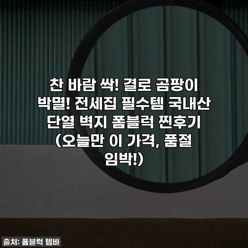 찬 바람 싹! 결로 곰팡이 박멸! 전세집 필수템 국내산 단열 벽지 폼블럭 찐후기 (오늘만 이 가격, 품절 임박!)