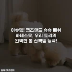 이슈템! 펫츠랜드 슈슈 메쉬 하네스옷, 우리 토리의 완벽한 봄 산책템 등극!
