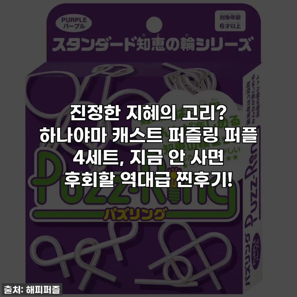 진정한 지혜의 고리? 하나야마 캐스트 퍼즐링 퍼플 4세트, 지금 안 사면 후회할 역대급 찐후기!